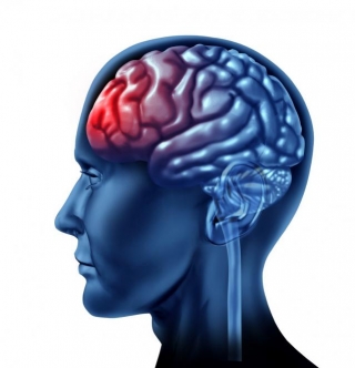 Understanding Brain Injuries