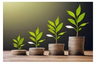 5 Mutual Fund Schemes With 55% To 67% Returns In FY2024