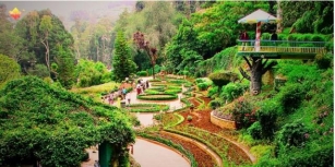 Coolest Hill Station In South India 