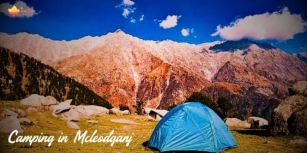 Triund Trek Mcleodganj | About Trek, Timings, What To Pack & Suggestions 