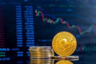 Long-Term Bitcoin Holders Ease Off Profit-Taking