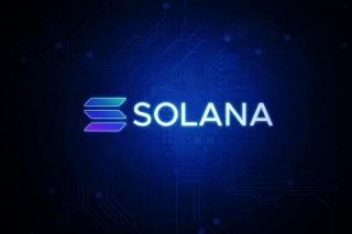 Over 50% Of Pre-Sold Solana Memecoins Abandoned Post $25M Raise