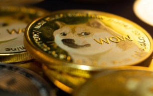 Decade-Old Dogecoin Wallet Misses Out on Millions