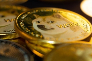 Decade-Old Dogecoin Wallet Misses Out On Millions