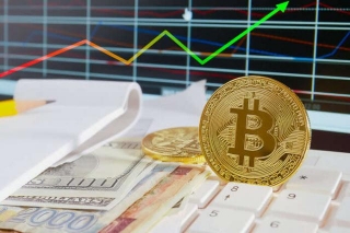 Bitcoin ETFs See Continued Inflows Despite Pre-Halving Turbulence