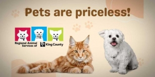 Regional Animal Services Offering No-cost Pet Adoptions This Tuesday, April 30