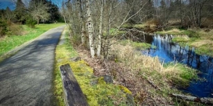 All Invited To Join WABI Bikers On A Ride Through Soos Creek Trail On Wednesday, May 29