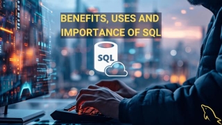 What Are The Benefits, Uses And Importance Of SQL In The World!