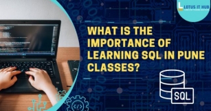 What Is The Importance Of Learning SQL In Pune Classes?