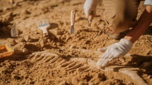 Otkriven Prvi Potpuni Fosil 240 Miliona Godina Starog “zmaja”, Imao Vrat Duži Od Tela I Repa Zajedno