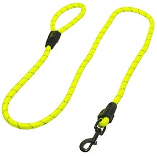 Franklin Pet Supply Nylon Dog Leash – Rope – Reflective – Dog Training – 6 Foot – Dog Walking – Ultra Strong – Green