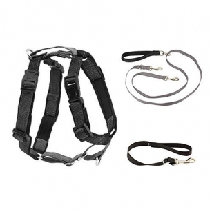PetSafe 3 In 1 Dog Harness With Two Point Control Leash – Front D-Ring Helps Stop Pulling – Double-Ended Dog Leash Redirects Pulling – Self-Adjusting Padded Handle – Swivel Hardware Prevents Tangles