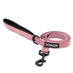 Best Pet Supplies Voyager Reflective Dog Leash With Neoprene Handle, 5ft Long, Supports Small, Medium, And Large Breed Puppies, Cute And Heavy Duty For Walking, Running, And Training – Pink,3/4″ X 5ft