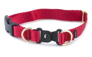 PetSafe KeepSafe Break-Away Collar, 1-Inch Medium, Red