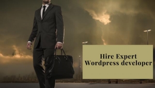 Time To Hire Expert WordPress Developers For Your Website
