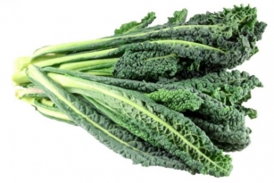 Kale Is A Hybrid Leafy Green