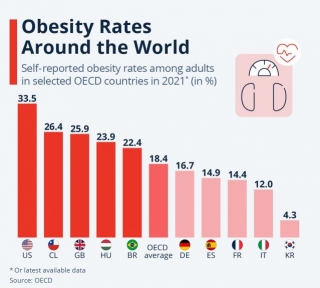 Obesity Rates Around The World: A Global Health Concern