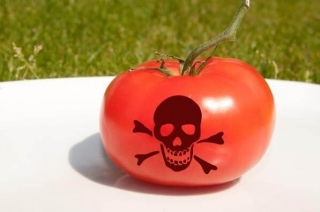 Poisonous Tomatoes, 9/11, Kabbalah, Ether, Indian Yogis And The Incredible Power Available To You