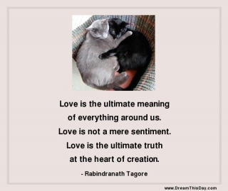 Love Is The Ultimate Truth At The Heart Of Creation