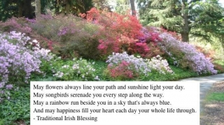 May Flowers Always Line Your Path And Sunshine Light Your Day