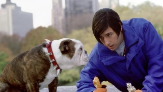 Little Nicky 2 Rumours Resurface & Sequel Remains Sadly Unconfirmed