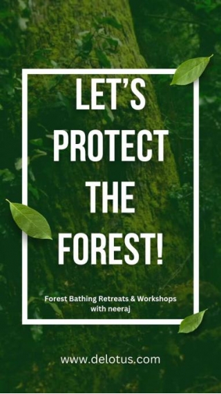Reconnect With Nature: Forest Bathing In Mumbai With Neeraj