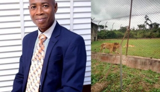 Lion Kills Staff At Obafemi Awolowo University Zoo