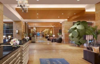 Top 10 Hotels In India