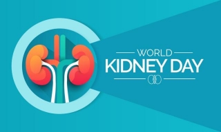 World Kidney Day And National Kidney Month 2024: New And Promising Treatments For Kidney Disease