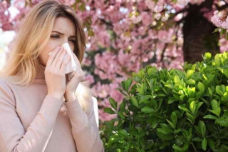 Flonase Vs Astelin For Seasonal Allergies: Which Is Better?