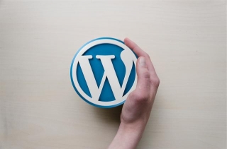 Scopriamo Insieme WordPress: Una Guida Introduttiva Con Consigli Utili