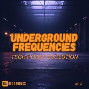 VA – Underground Frequencies_ Tech-House Evolution, Vol. 03 [LWUFTHE03]
