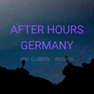 VA – After Hours Germany [10296200]