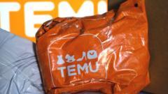 How Temu is shaking up the world of online shopping