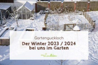 Der Winter 2023 / 2024 In Unserem Garten