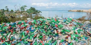 Adverse Effects Of Plastic On The Environment And Health