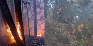 Forest Blaze Reaches Lansdowne Cantonment Area