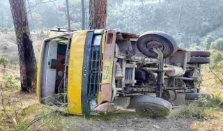 Two Children Saved By Tree Stopping Bus From Falling Down Gorge