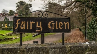 Fairy Glen