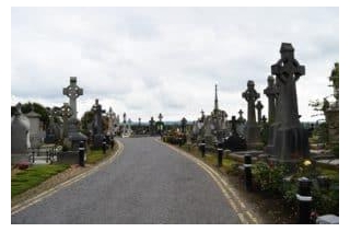 MILLTOWN CEMETERY BELFAST – West Belfast Cemetery-Political