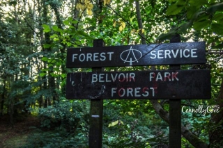 Belvoir Park Belfast – The Forest In The City