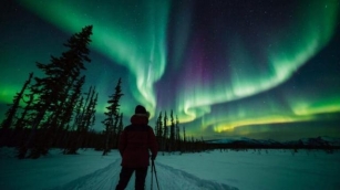 Chasing The Northern Lights: Unveiling The Arctic Tourism Statistics!