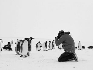Viaggio Al Polo Sud Recensione Documentario Di Luc Jacquet