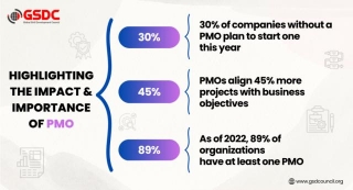 PMO For Organizational Success An Essential Element
