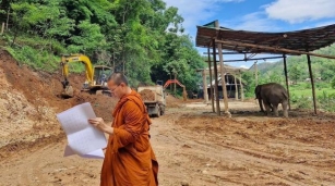 Trunk Call: Monk Leads Project To Build Elephant Shelter In Chiang Mai
