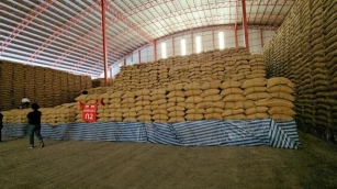 Seven Bidders Cleared For Auction Of 15,000 Tonnes Of Rice