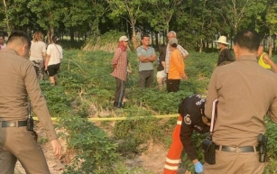Man Shot Dead On Cassava Farm In Udon Thani, Police Seek Motive