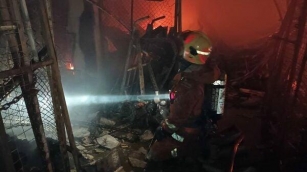 Fire At Chatuchak Market Destroys 118 Shops, Kills 1,000 Animals