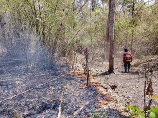 Wildfires In Thailand’s Western Forest Complex Reduced By 40%