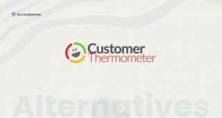 Top 10 Customer Thermometer Alternatives In 2024